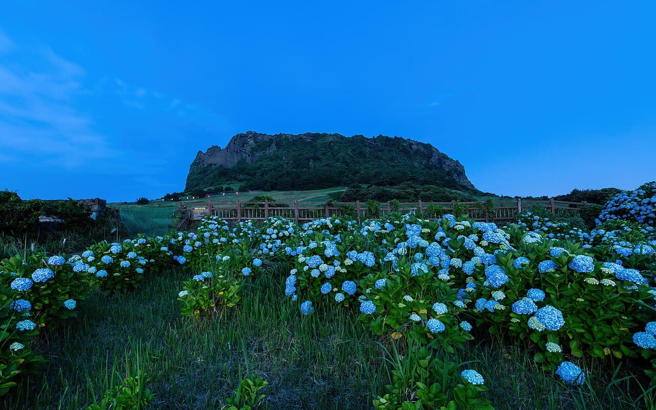 Jeju, South Korea — solo travel guide