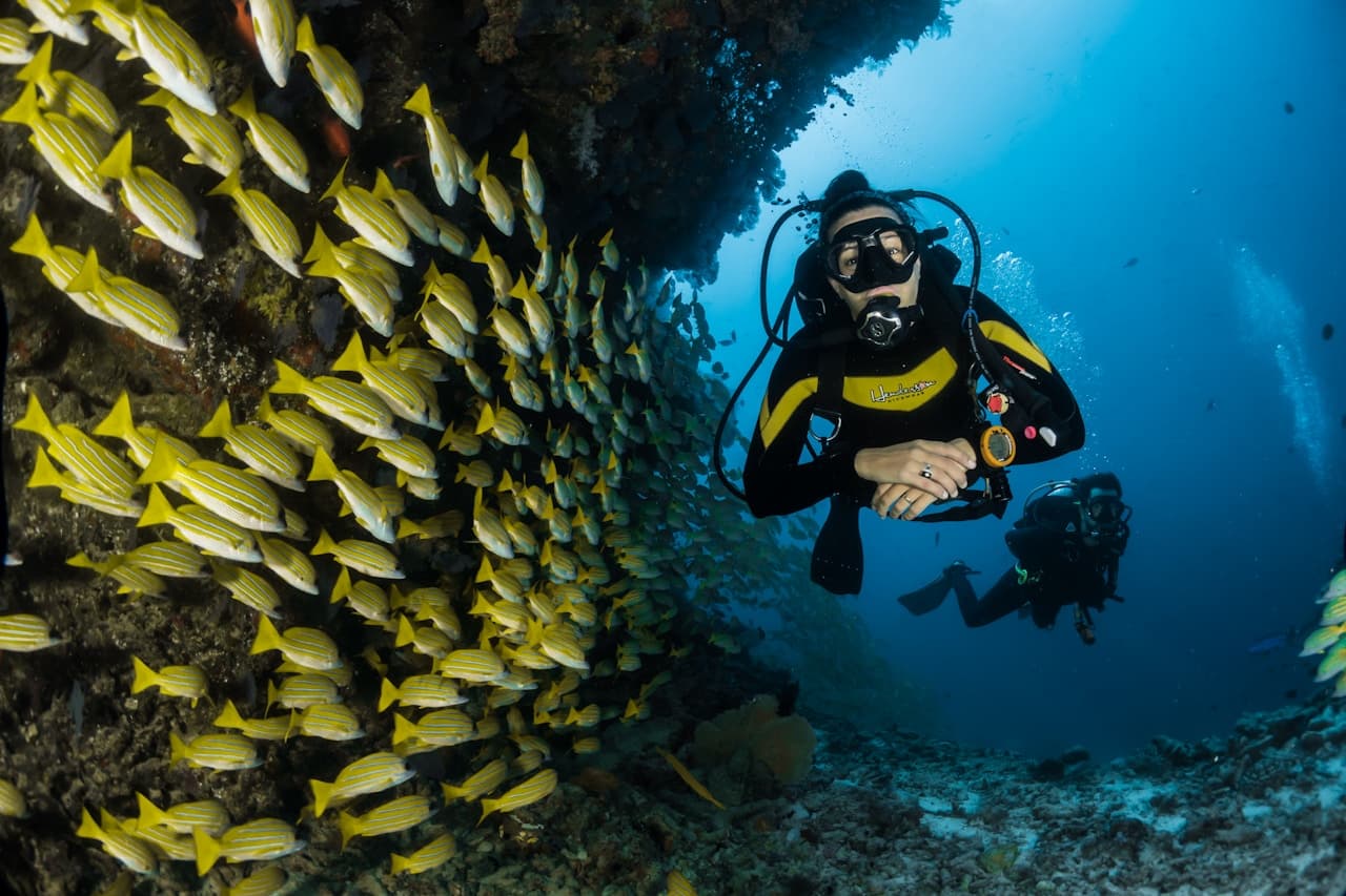 Moalboal Sardine Run Freedive — Outdoor & Adventure in Cebu