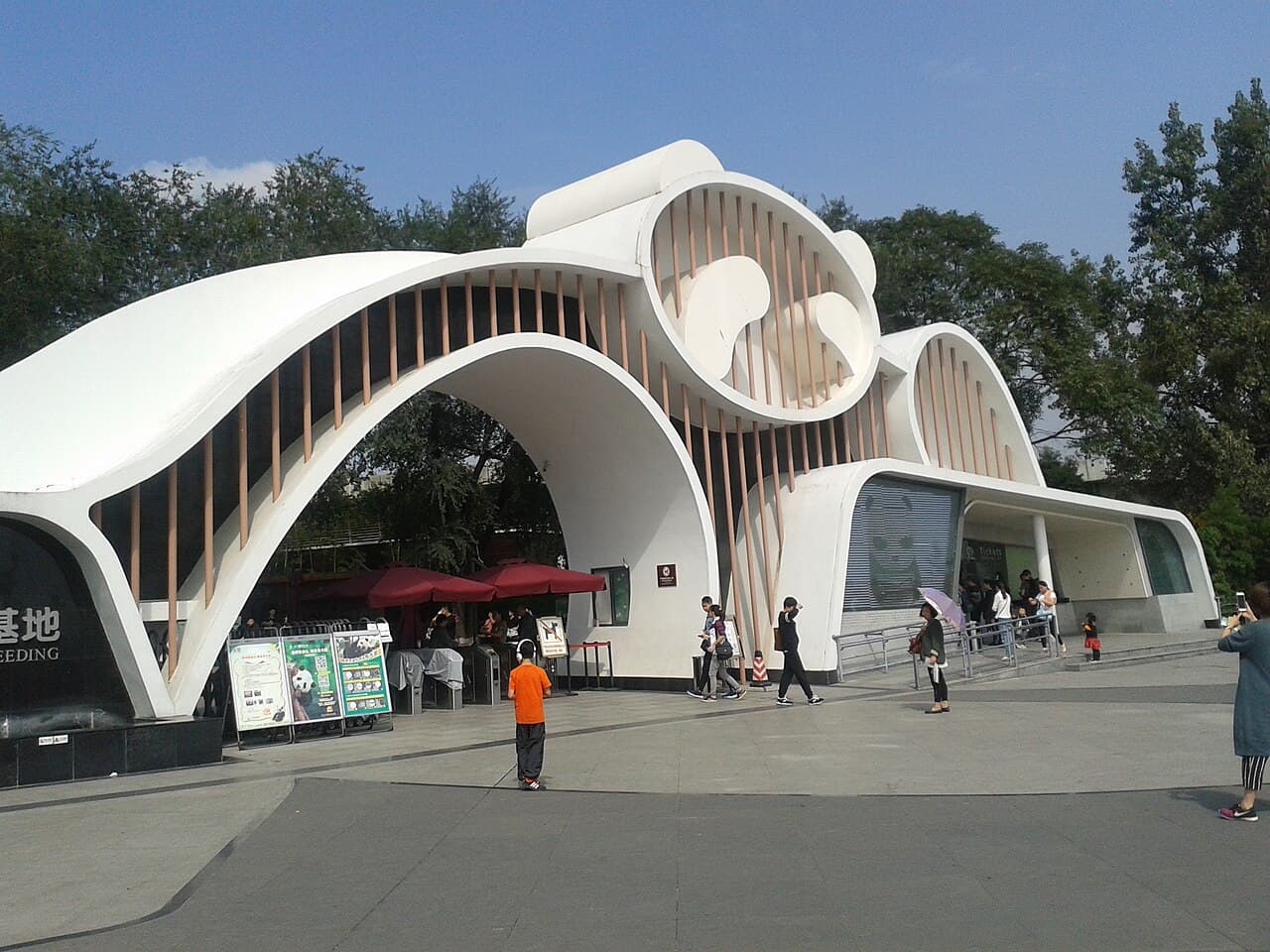 Giant Panda Base Morning Tour — Outdoor & Adventure in Chengdu