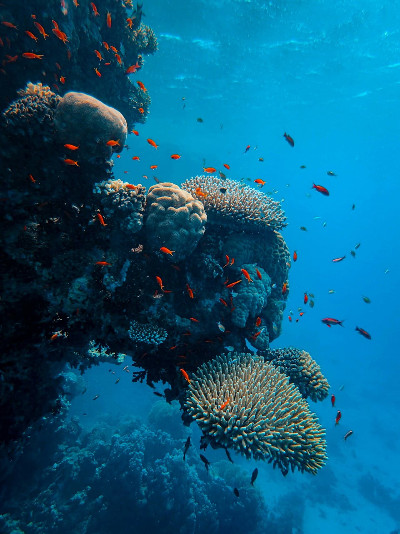 Bacuit Bay Snorkeling Trip — Outdoor & Adventure in El Nido
