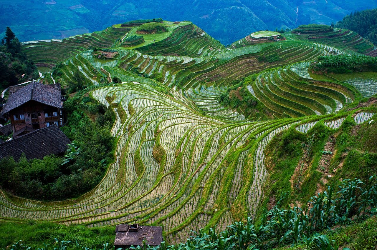 Longji Rice Terraces Day Trip — Day Trips in Guilin
