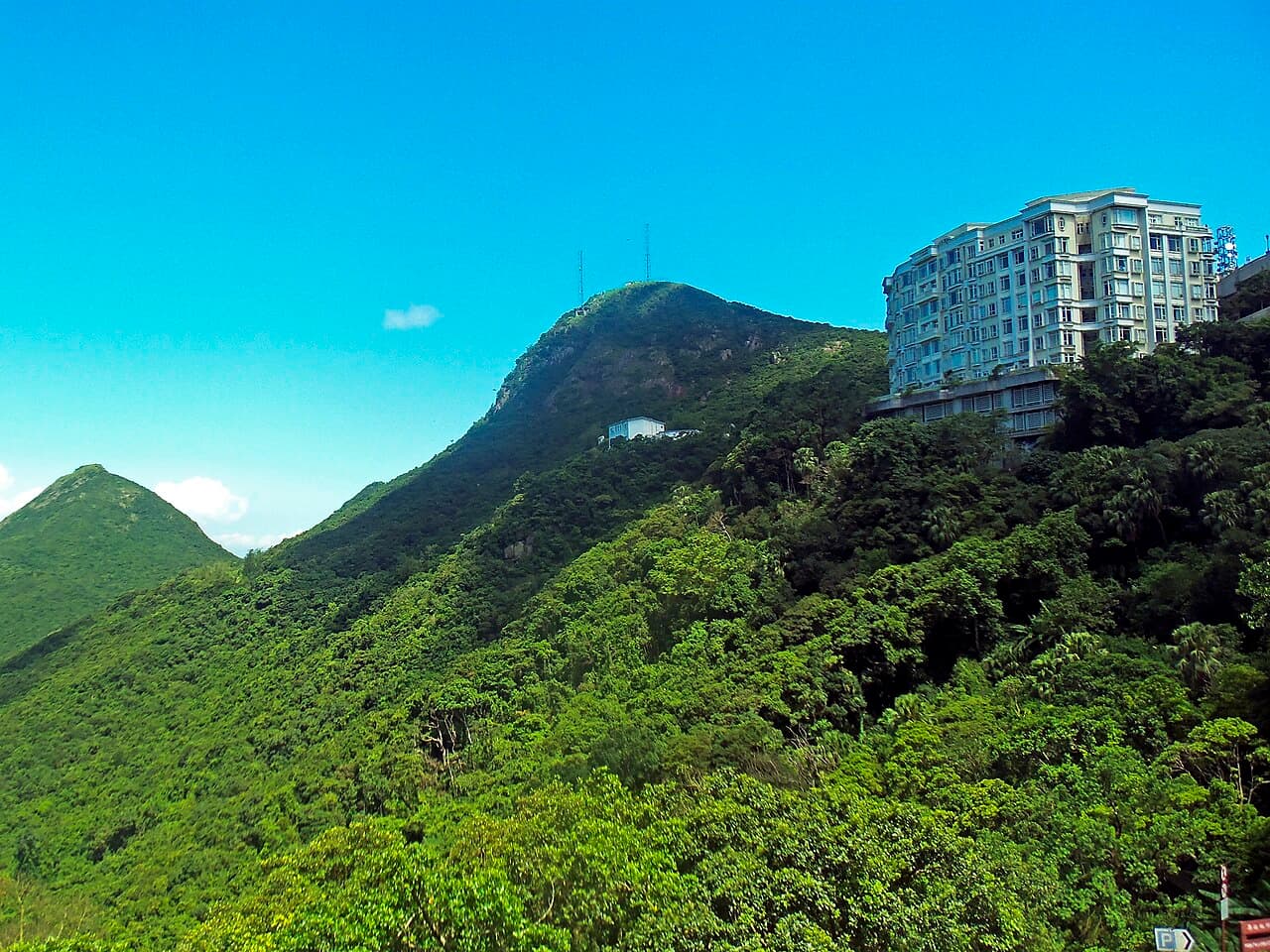 Victoria Peak & City Highlights — Arts & Culture in Hong Kong