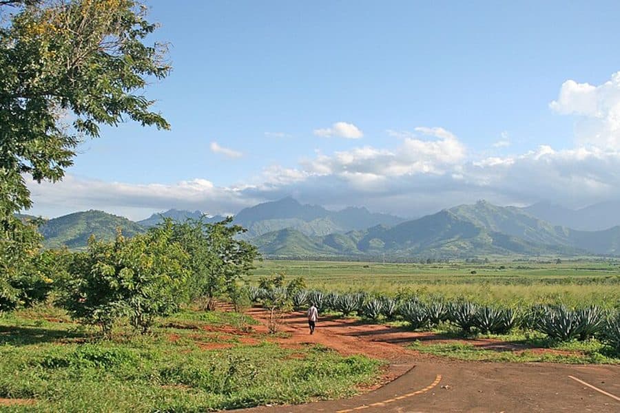 Coffee Farm Tour & Tasting — Food & Drink in Medellín
