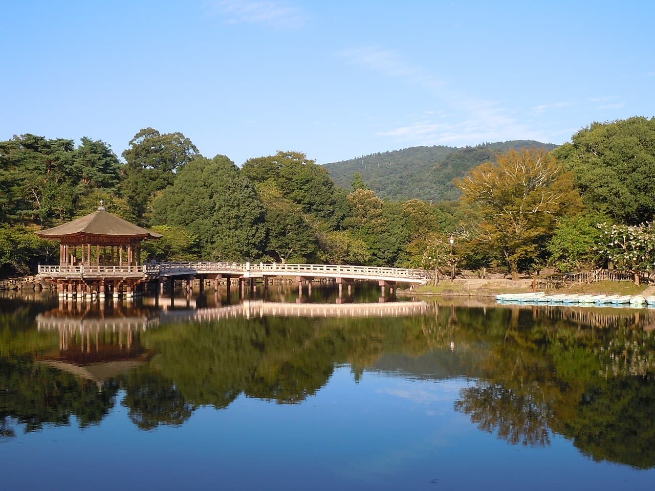 Nara Park Deer & Temples Walk — Outdoor & Adventure in Nara