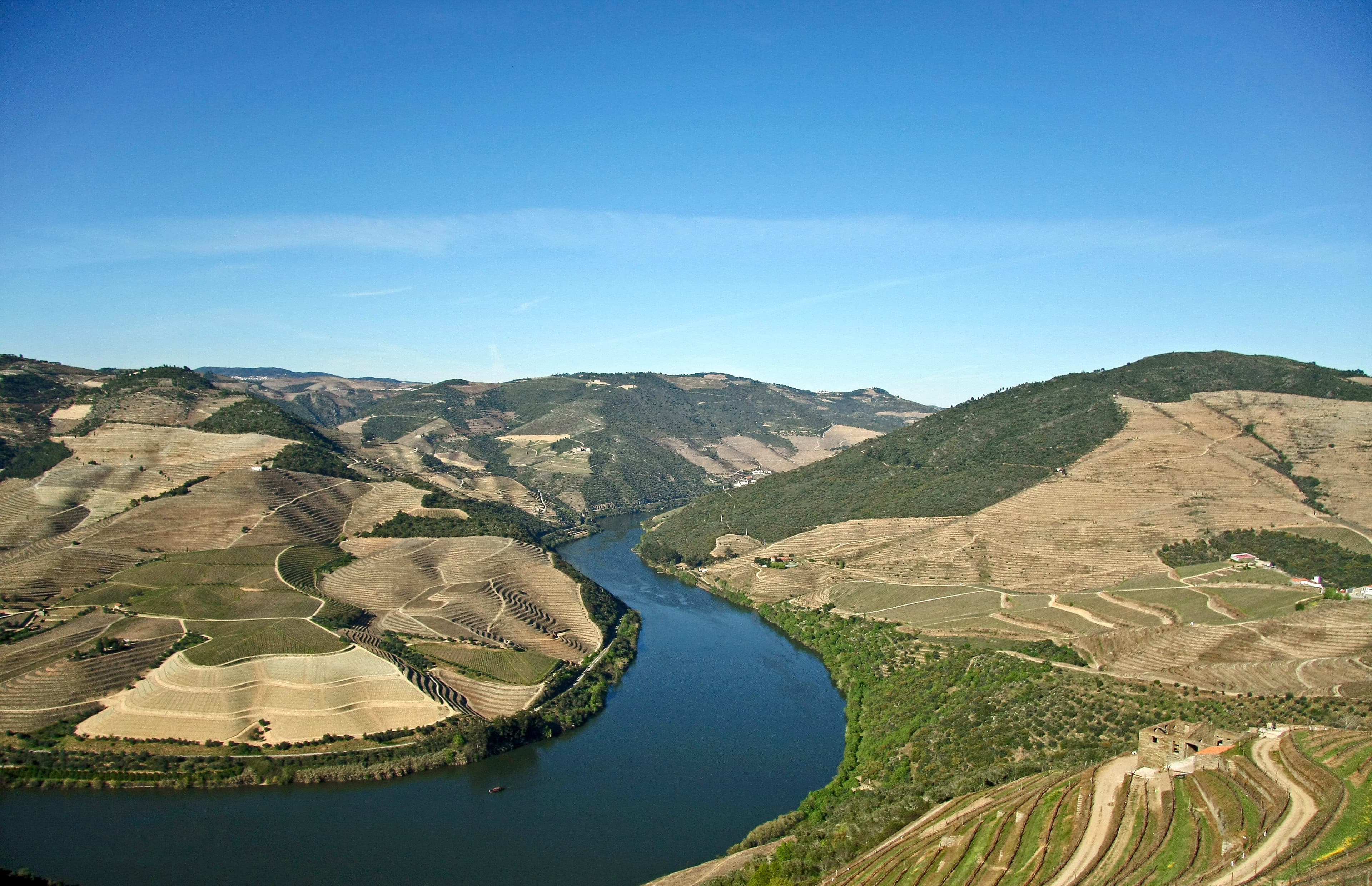 Douro Valley Wine Day Trip — Day Trips in Porto