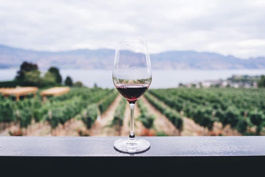 Wine Tasting & Vineyard Tour β Food & Drink in Queenstown