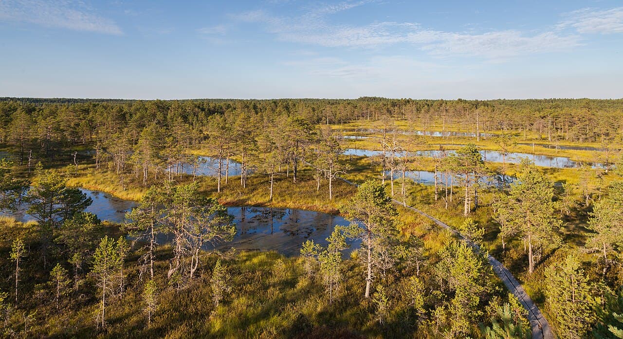 Lahemaa National Park Day Trip — Day Trips in Tallinn