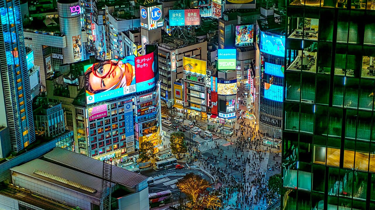 Shibuya & Shinjuku Night Tour — Nightlife & Social in Tokyo