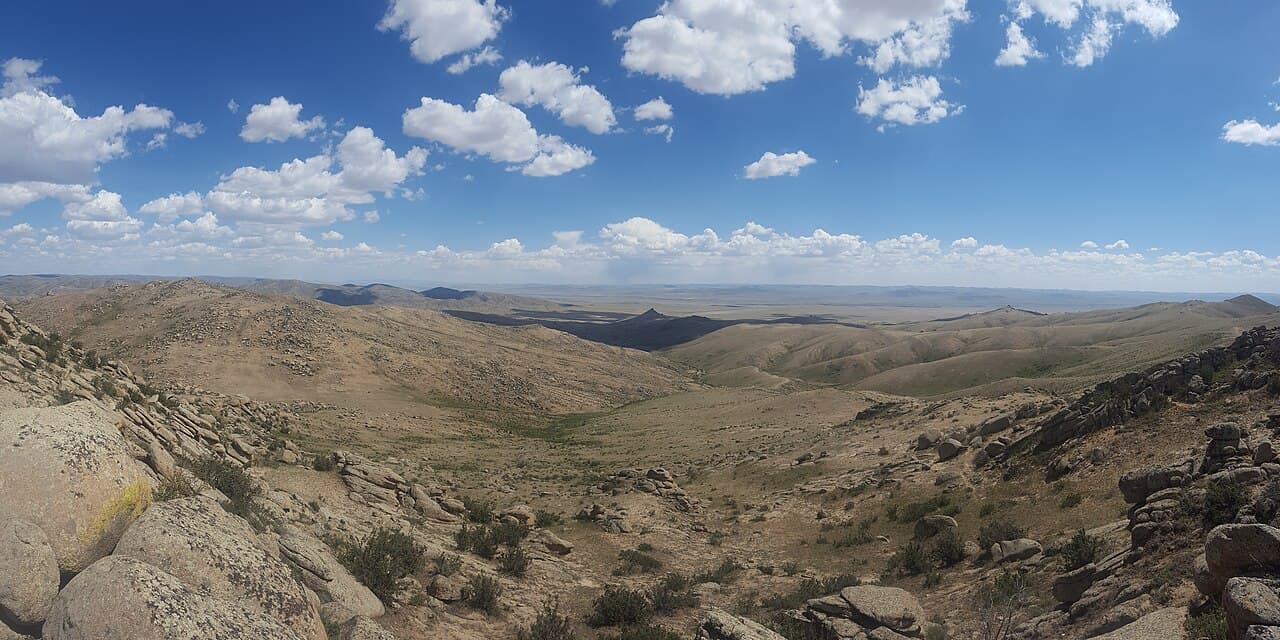 Hustai Wild Horses Day Trip — Outdoor & Adventure in Ulaanbaatar