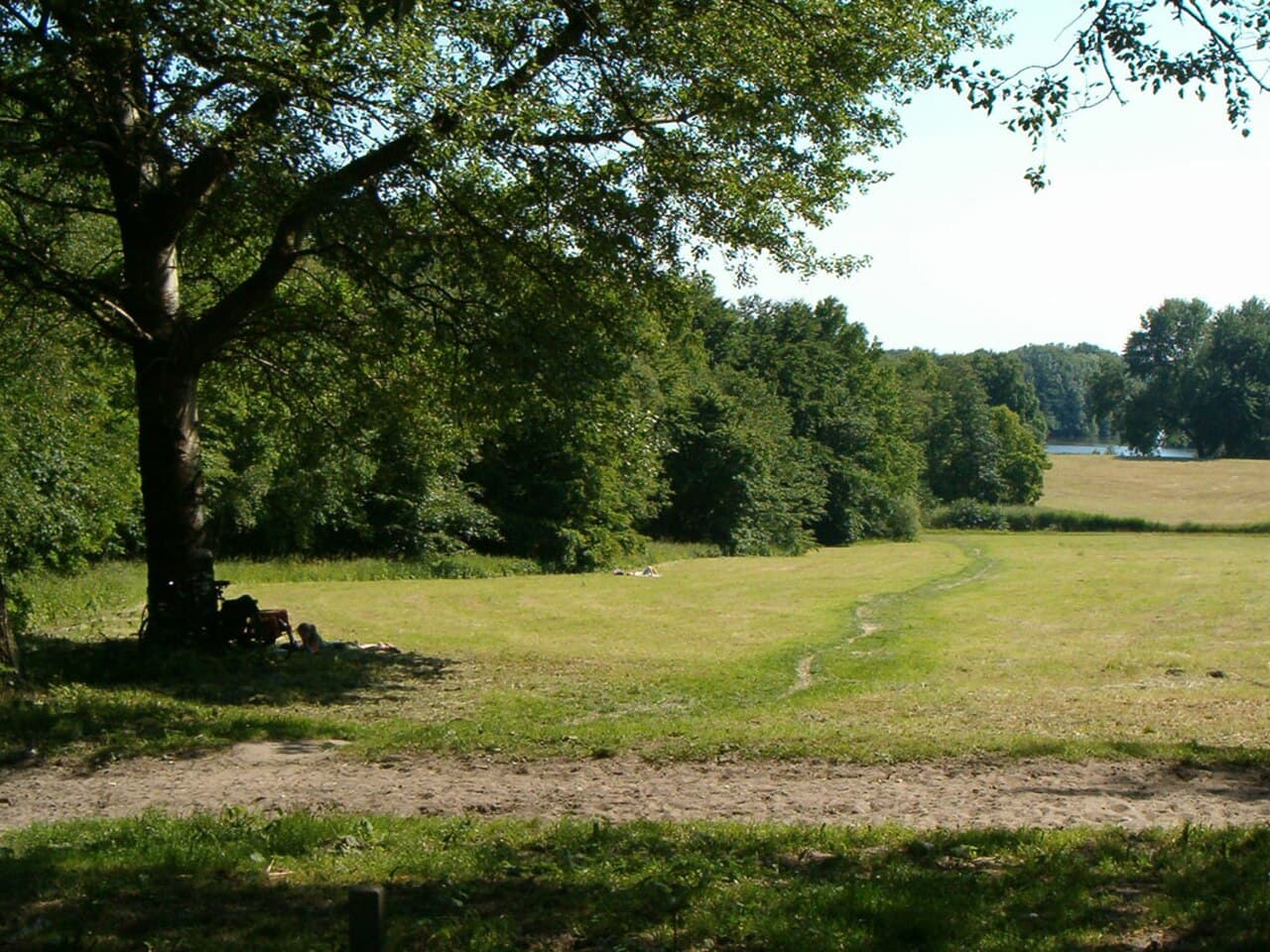 Amsterdamse Bos β Nature in Amsterdam