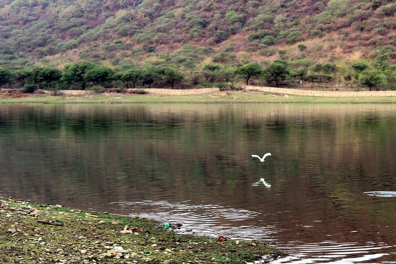 Badi Lake β Nature in Udaipur