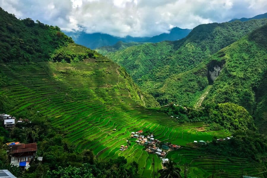 Campuhan Ridge Walk β Nature in Bali