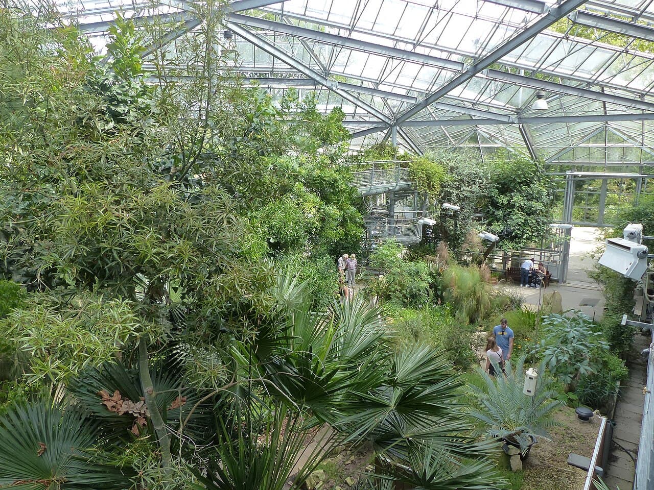Hortus Botanicus Amsterdam β Nature in Amsterdam