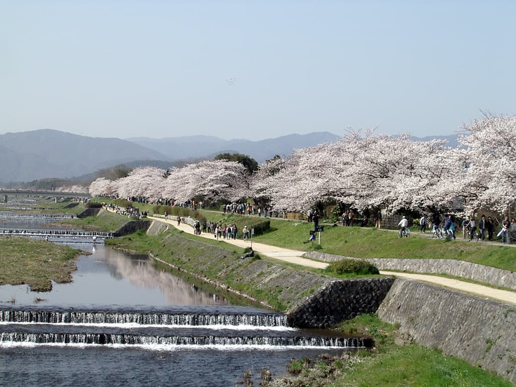 Kamo River Delta β Nature in Kyoto