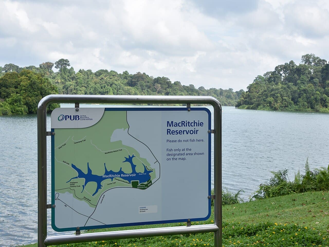 MacRitchie Reservoir Park β Nature in Singapore