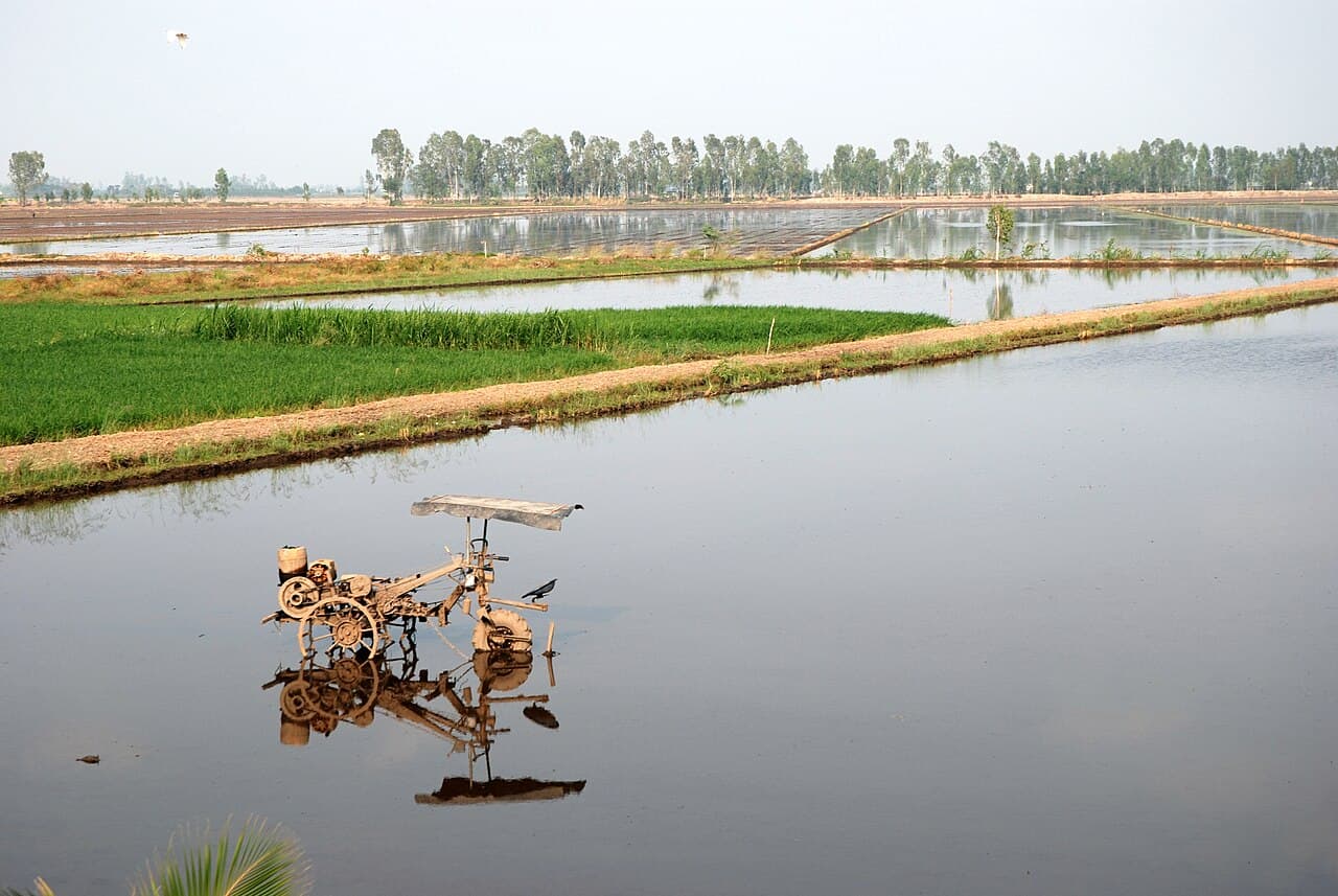 Mekong Delta Day Trip β Nature in Ho Chi Minh City