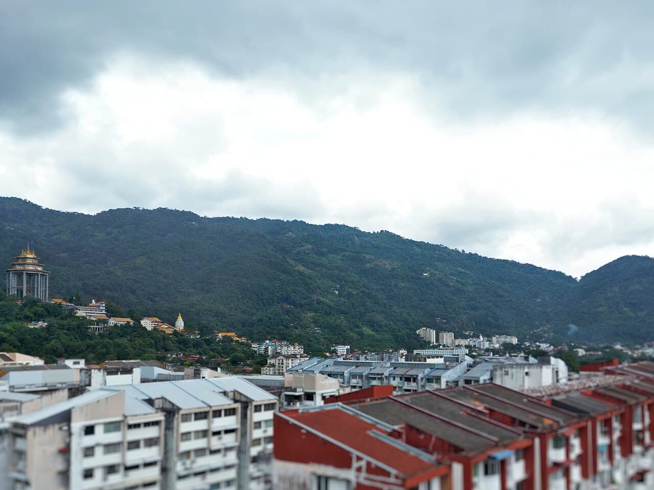 Penang Hill (Bukit Bendera) β Nature in Penang