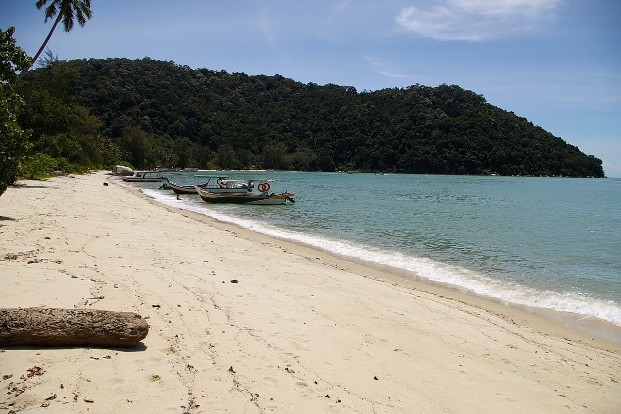 Penang National Park β Nature in Penang