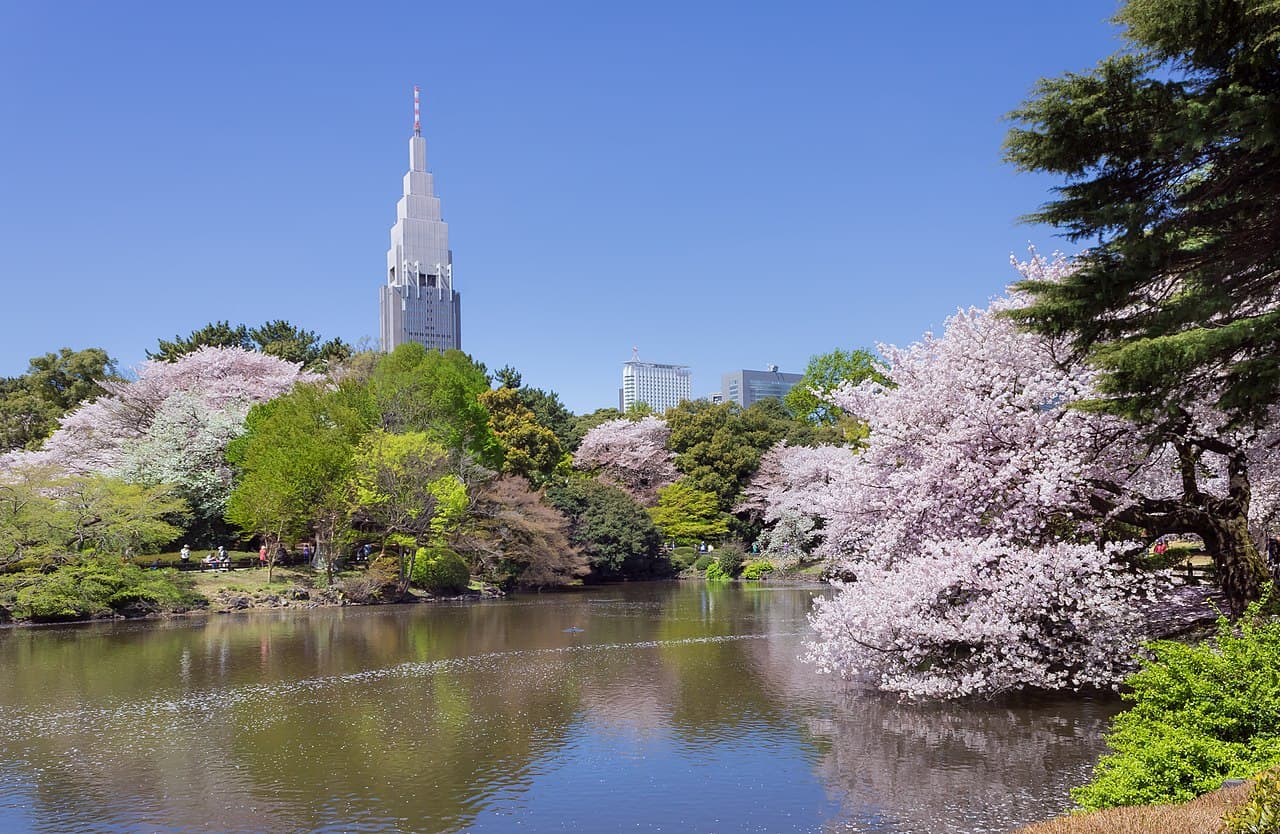 Shinjuku Gyoen β Nature in Tokyo