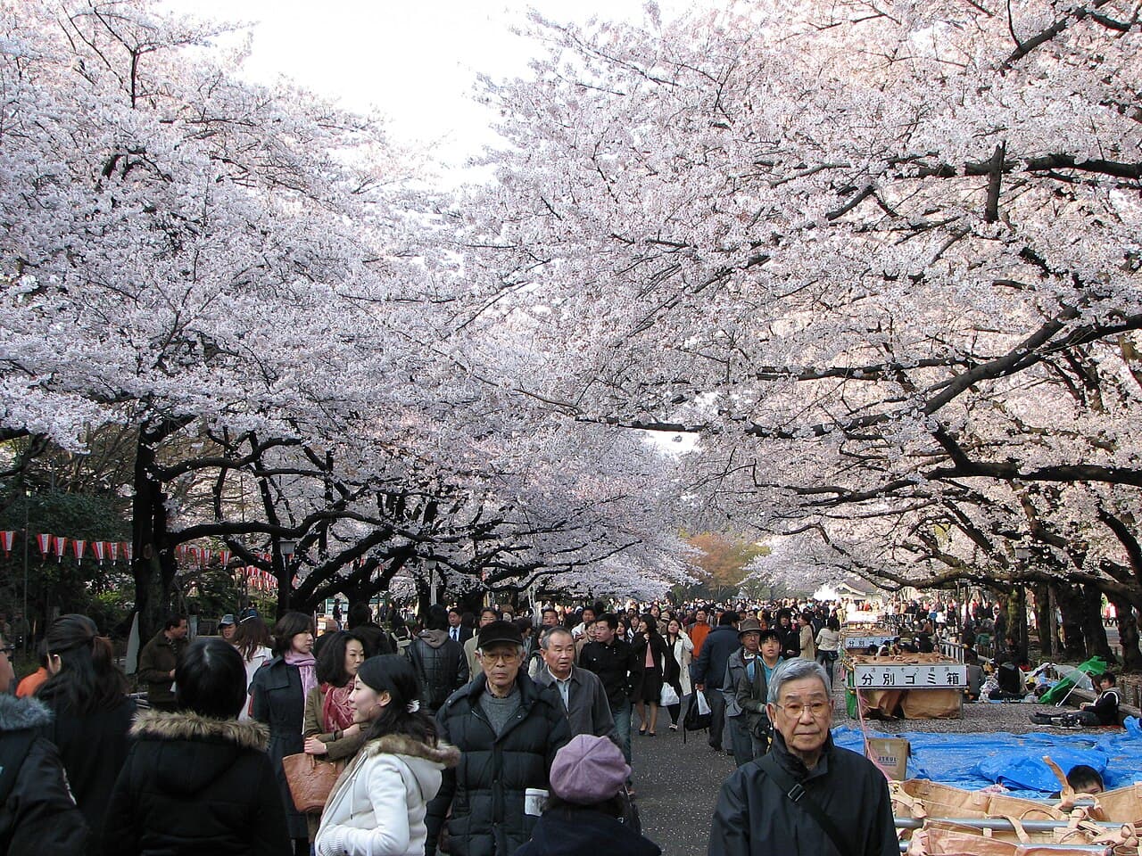 Ueno Park β Nature in Tokyo