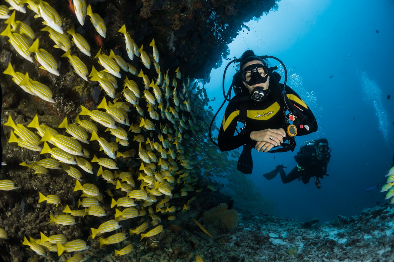 PADI Open Water Diving Course