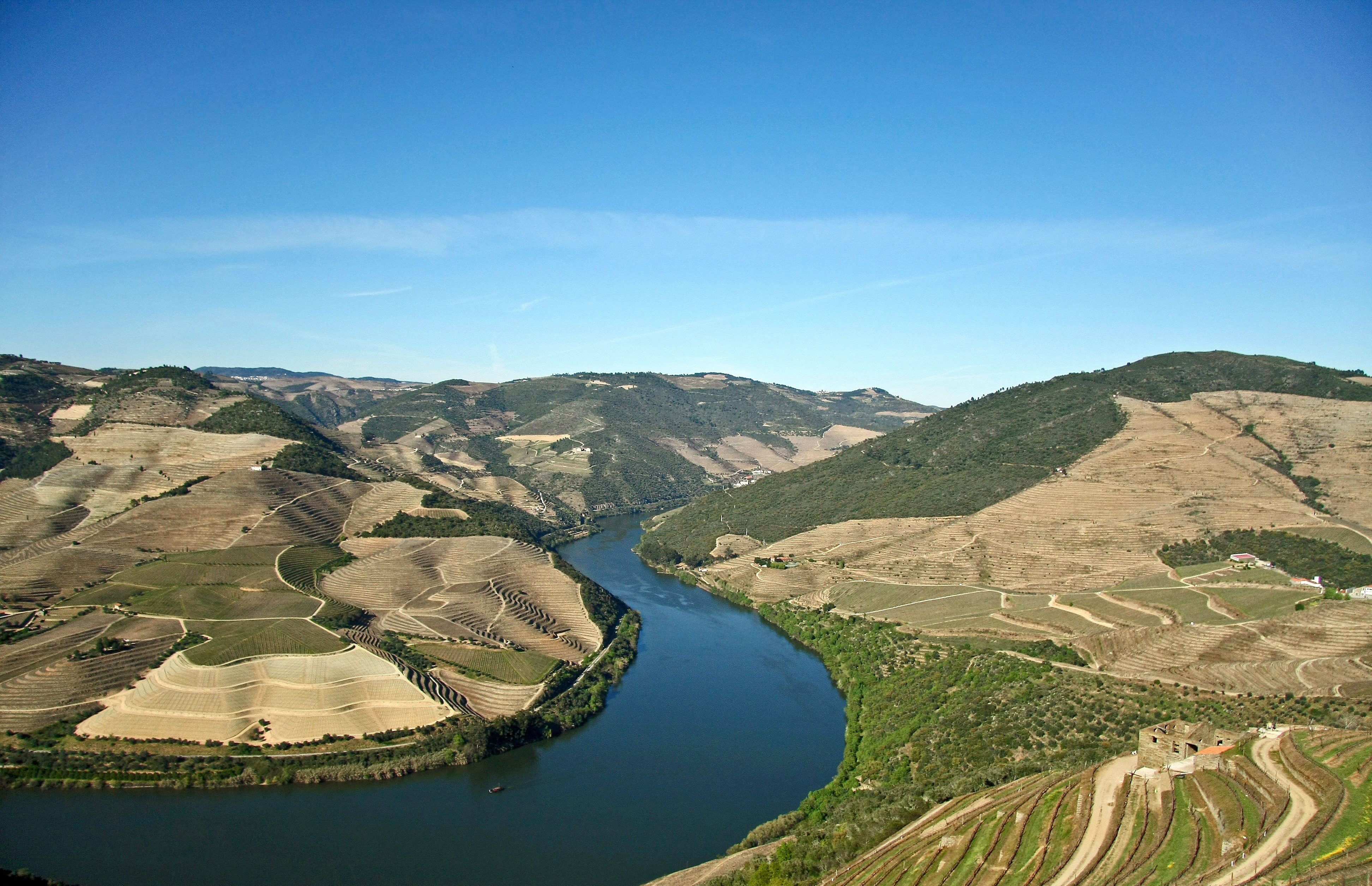 Douro Valley Wine Day Trip